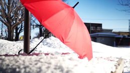 雪と、傘と、あの日の写真。